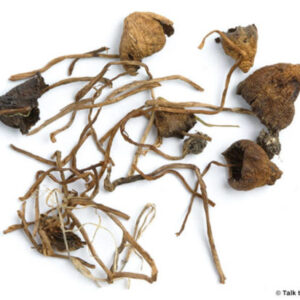 Buy LIBERTY CAP online